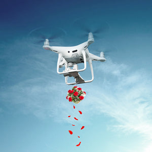 PGYTECH DJI Drone Remote delivery Parabolic Air-Dropping system for DJI Phantom 4 pro/4 pro v2.0/4 pro obisidian Accessories - virtualdronestore.com
